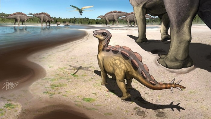 古生物学家发现一个跟猫相当大小的恐龙足迹